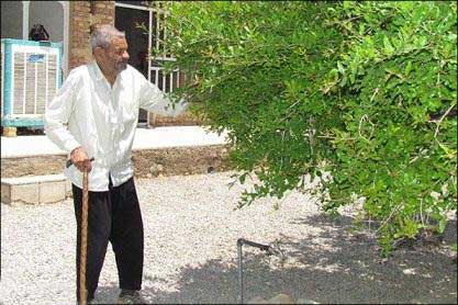 تصاویری از پیرترین پدر بزرگ ایرانی (عکس) 1