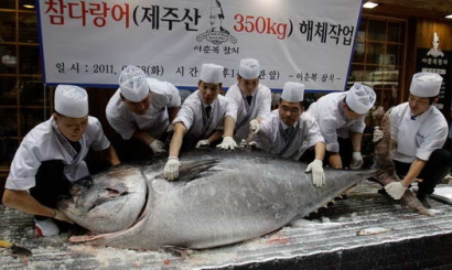 گران ترین ماهی دنیا(بدو بیا) 