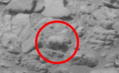 در مریخ یک خرس پیدا شد! 1