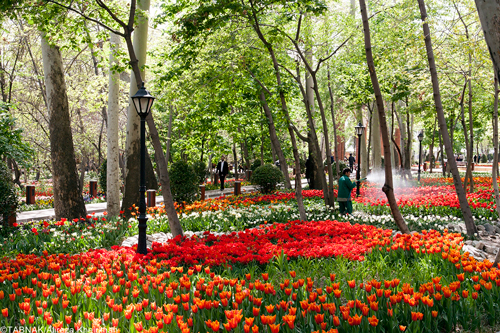 6 باغ و بوستان بهشتی گمشده در تهران 1