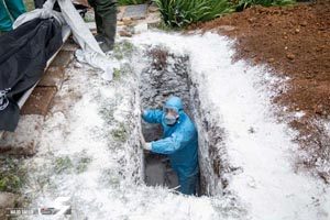 کشف گنج و اسکلت سرباز اشکانی هنگام دفن جسد یک کرونایی 1