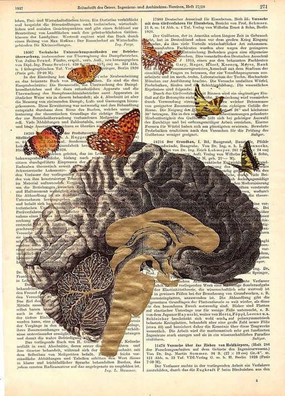 brain 1