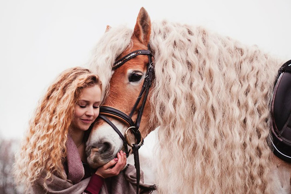 هر دختری به مو‌های این اسب حسادت می‌کند! 1