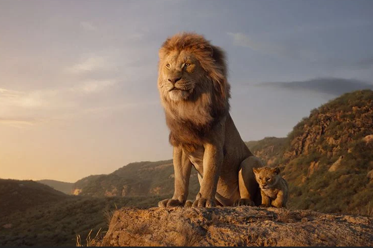دنباله فیلم The Lion King به کارگردانی بری جنکینز در دست ساخت است 