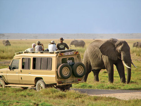 پارک ملی ابردیر کنیا 1