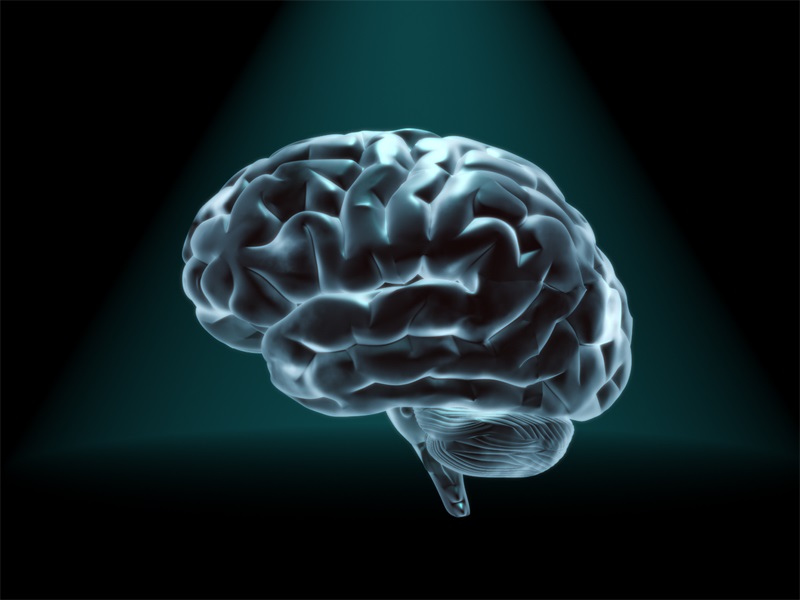 “مغز” چگونه بین دانش و جهل تصمیم‌گیری می‌کند؟ 1