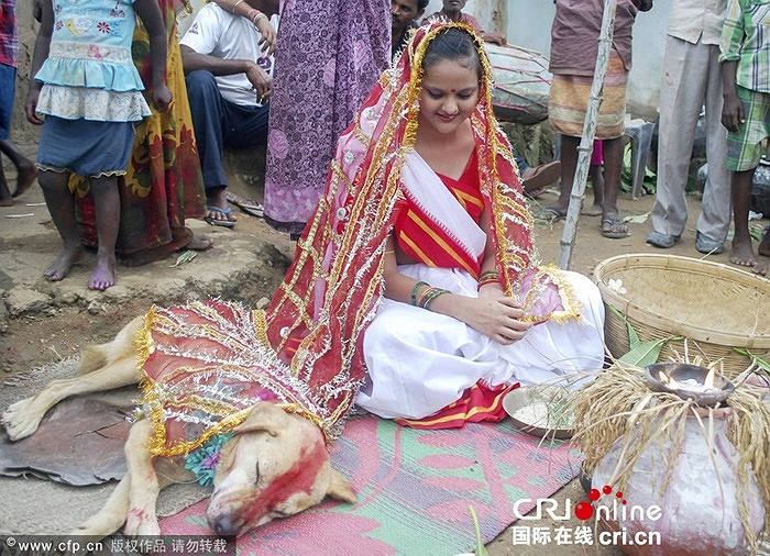 ازدواج زن 18ساله هندی با یک سگ برای شکستن طلسم شیطان+عکس 1