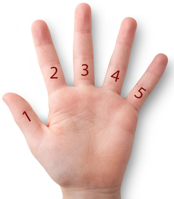 شخصیت شناسی از روی انگشتان دست 1