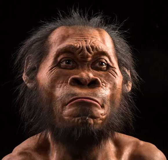 آیا “انسان‎های باستانی” قربانیان انقراض ششم بودند؟ 
