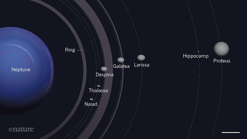 آشکارسازی سرگذشت کوچکترین قمر نپتون 1