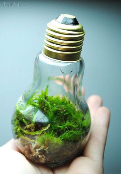 ایده های هیجان انگیز برای بازیافت لامپ های قدیمی 1