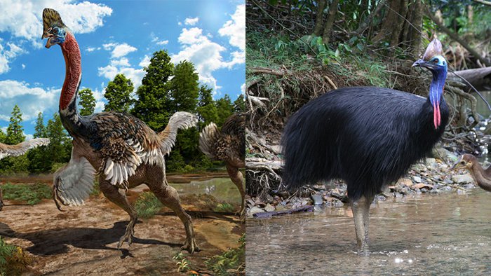 کشف دایناسوری شبیه به پرندگان مدرن 1