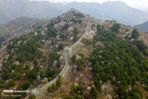 دیوار چین در بهار (عکس) 