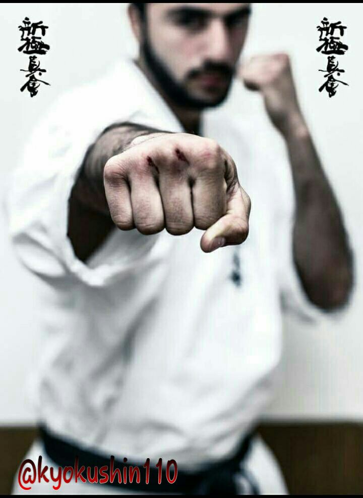 کیوکوشین کاراته 1