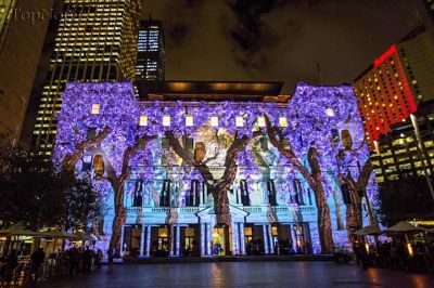 تصاویری از جشنواره ی نور در استرالیا (: 1