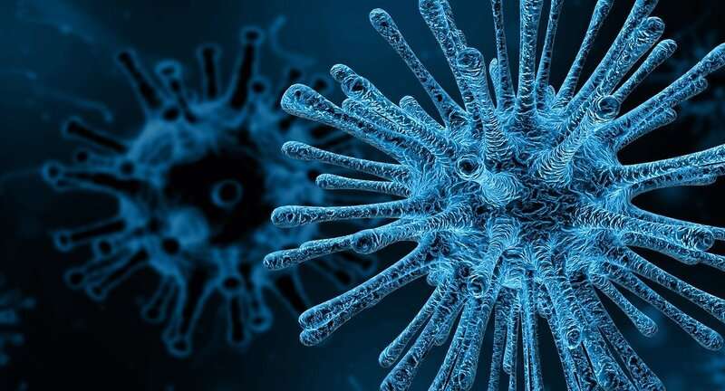 ویروس‌ها چگونه ما را بیمار می‌کنند؟ 