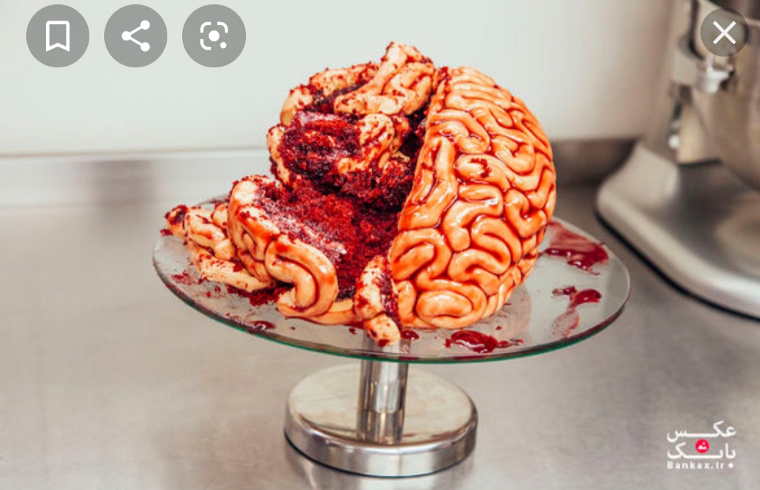 تصاویر دیدنی از عجیب ترین کیک ها 